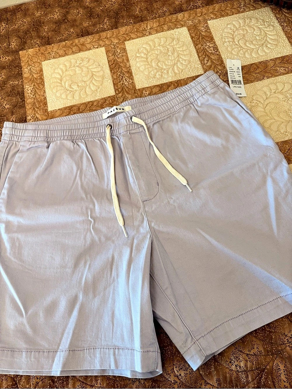 Pacsun Hybrid Shorts in light lavender Size Large NWT